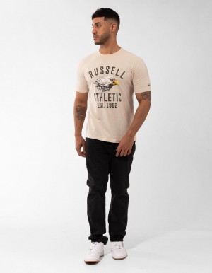 Tricouri Russell Athletic Screaming Eagle Barbati Gri | 48172-ARDL